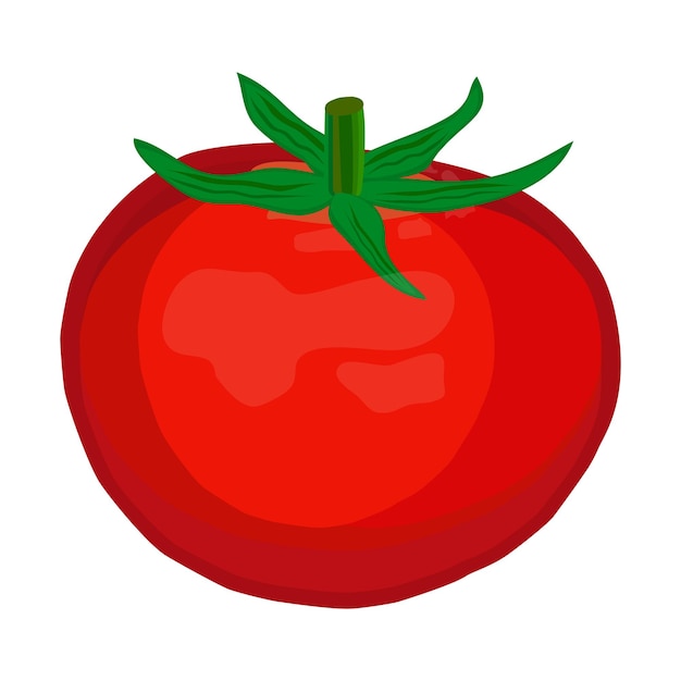 ベクトル 白い背景にトマト