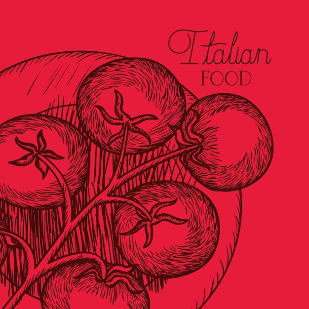 Tomato plant italian food drawn