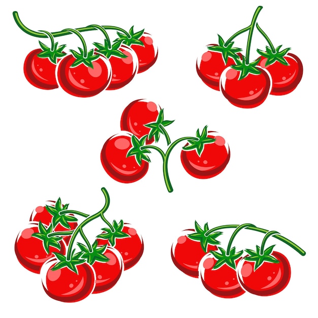 Tomato set collection icon tomato vector