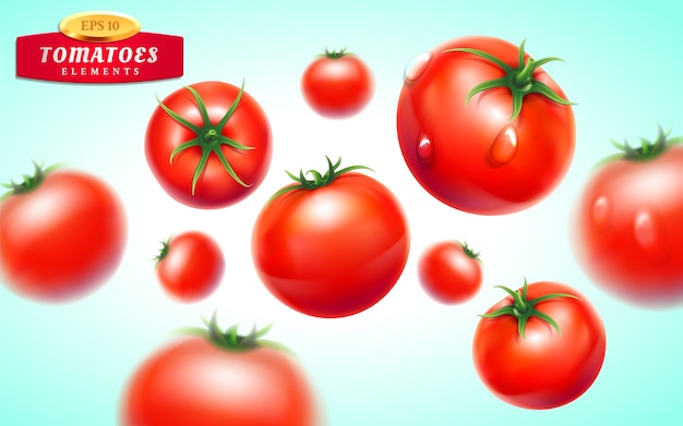 Tomato set. Detailed realistic red ripe fresh tomatoes with green leaves with water droplets