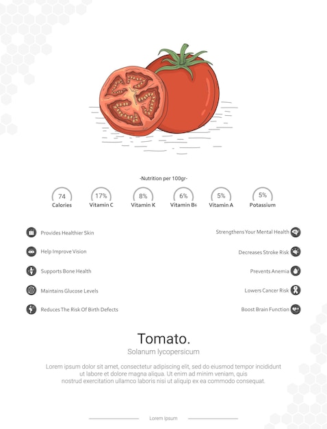 토마토 Solanum lycopersicum 영양과 이점 벽 장식 아이디어와 함께 일러스트레이션