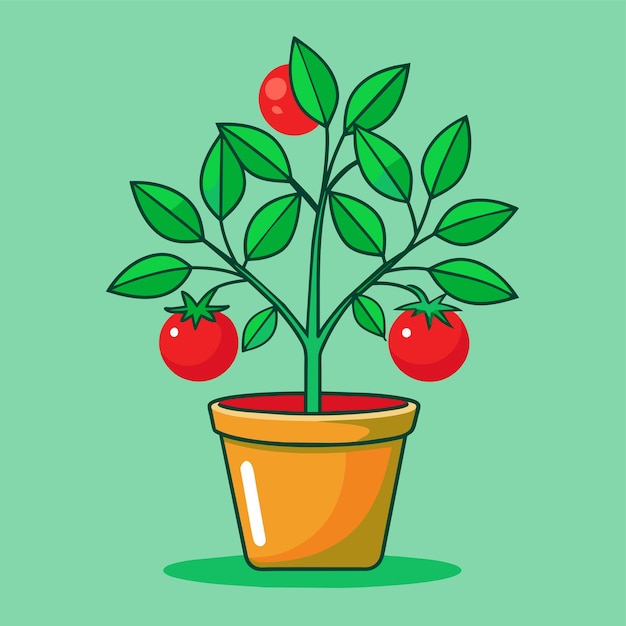 Vector tomato tree in a pot vector illustration