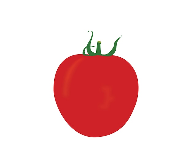 Vector tomato vector