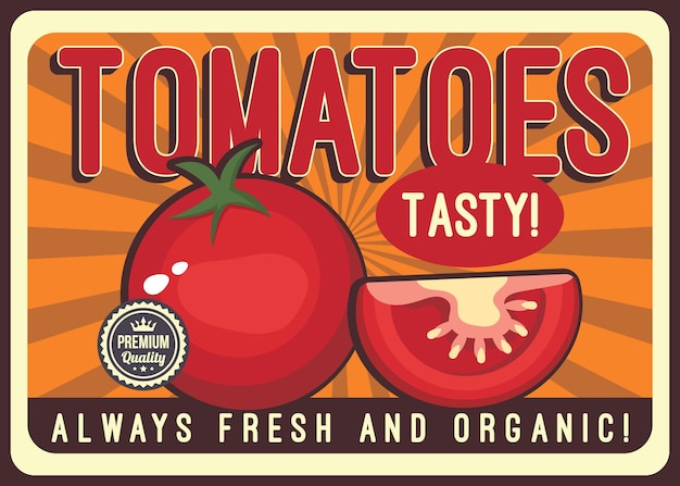 Шаблон векторного дизайна плаката с томатным овощем