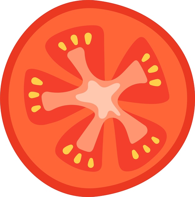 Vector tomato vegetable slice