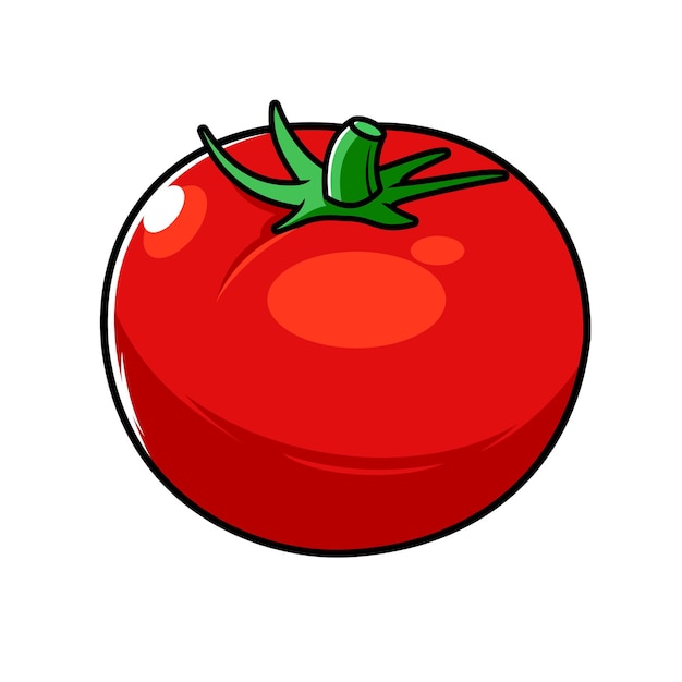 Tomato Vegetable Vector Illustration Design