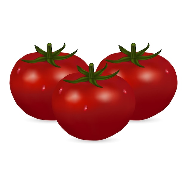 Vector tomato on a white background