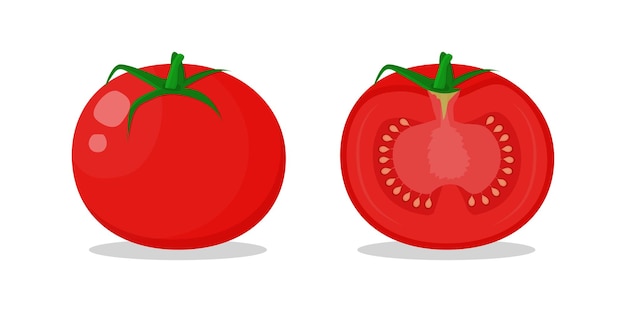 トマト全体と半分にカット白い背景の上のベクトル図
