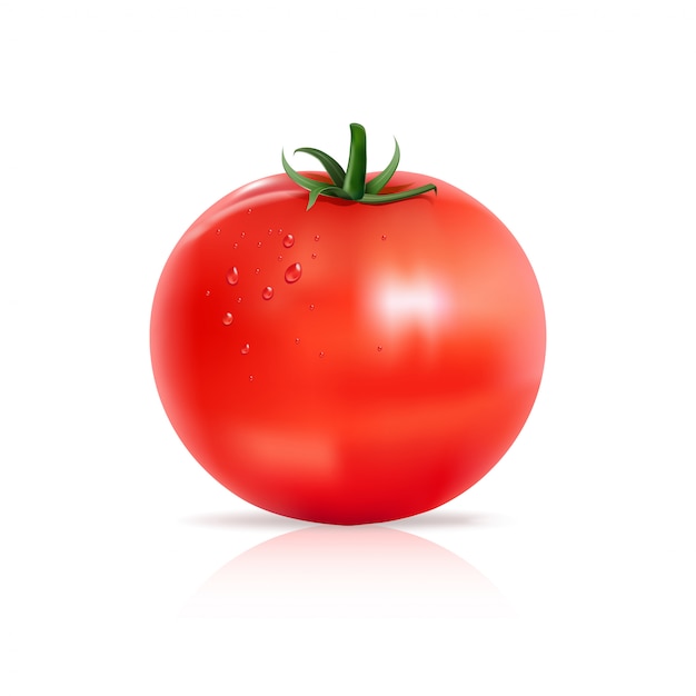 Vector tomato with water drops.