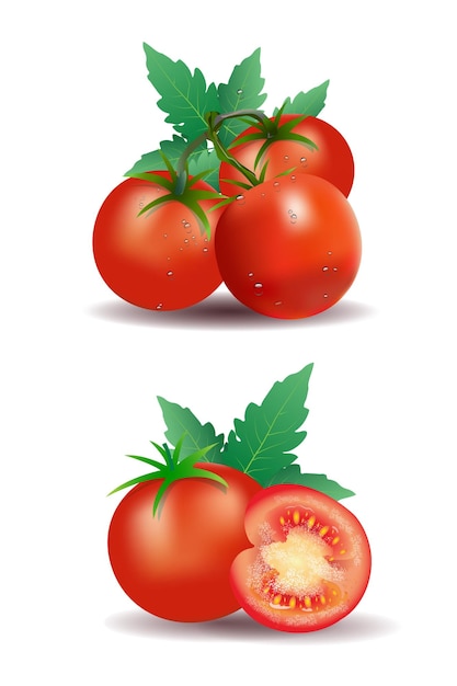 tomato