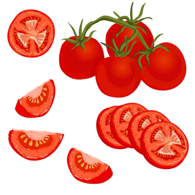 トマトセット。分離された白い背景の上の全体とスライスされた完熟フレッシュトマトのベクトル図