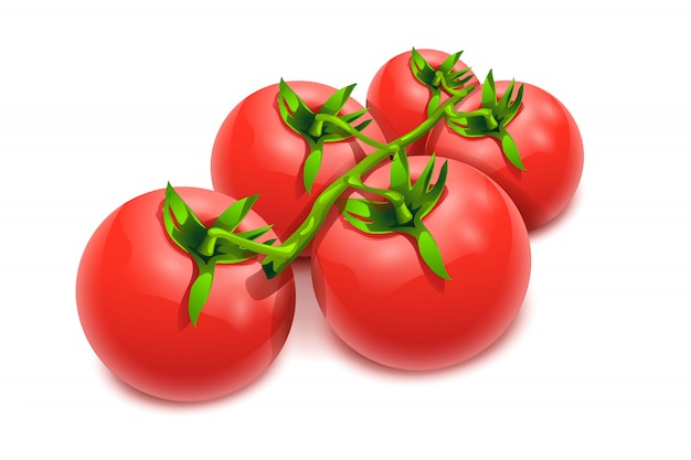 Vettore pomodori