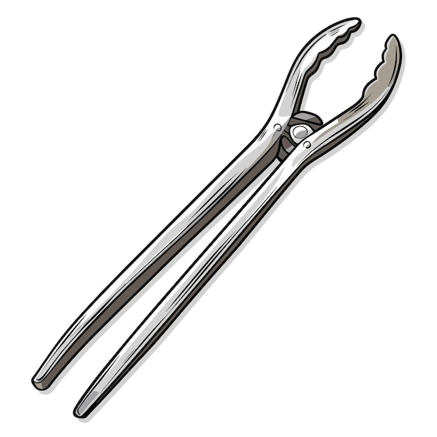 Vector tongs cartoon geïsoleerd op doorzichtige achtergrond png cartoon