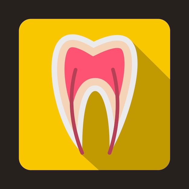 Tooth cross section icon in flat style on a yellow background