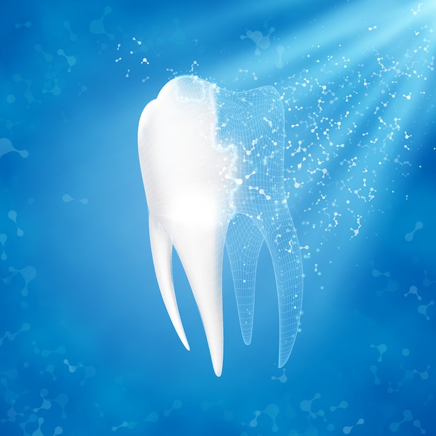 Vector tooth reconstruction.