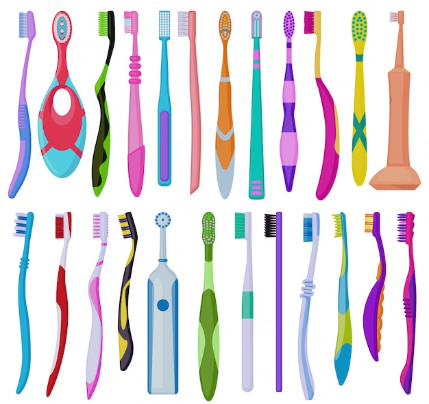 Vector toothbrush cartoon  set illustration of icon.cartoon  collection icon brush of tooth. isolated illustration of set toothbrush on white background.