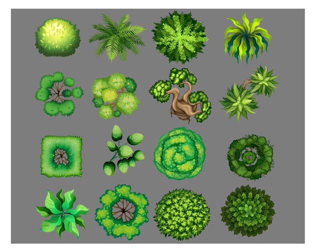 異なる種類の植物のベクトルイラストのトップビュー