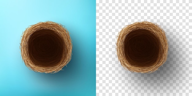 Vector top view of empty bird nest on blue and transparent background.