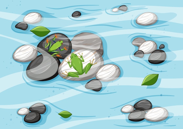 Vector top view of river scene with frogs on pebbles