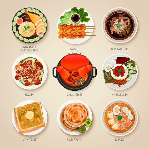 Vector top view of singapore traditional delicacies collection