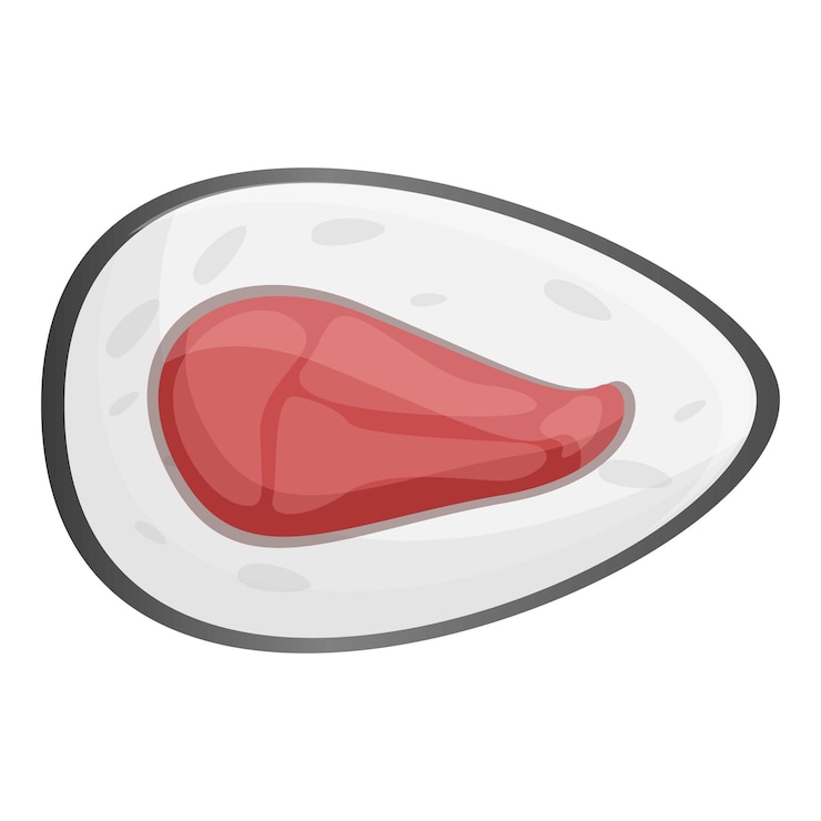 Vector top view sushi icon cartoon of top view sushi vector icon for web design isolated on white background