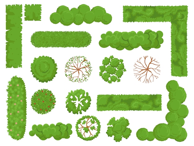Vector top view trees and bushes, forest tree, green park bush and plant map elements look from above isolated  set
