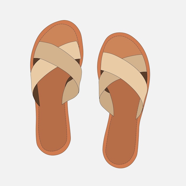 Top view vector illustration of female shoes