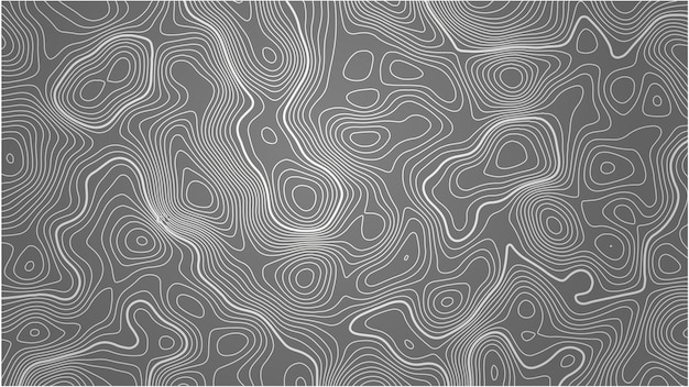 Vector topografische kaart contourlijnen achtergrondvector