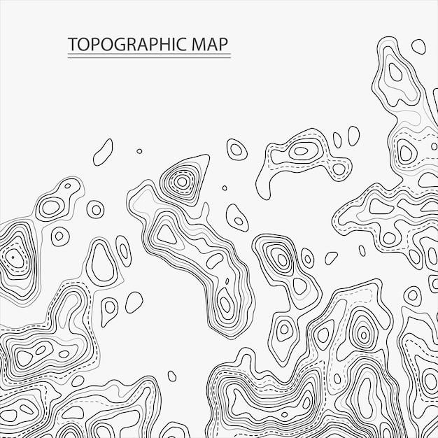 Topographic contour map on white background vector grid map