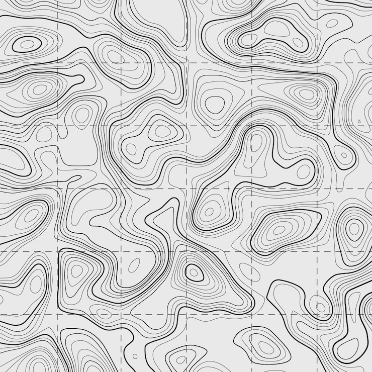 Vector topographic contour map on white background vector grid map