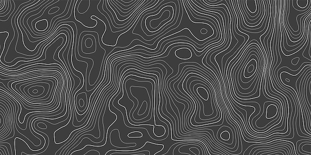 Vector topographic contour map with grid vector relief map