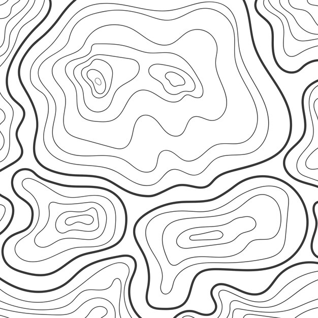 Vector topographic lines map