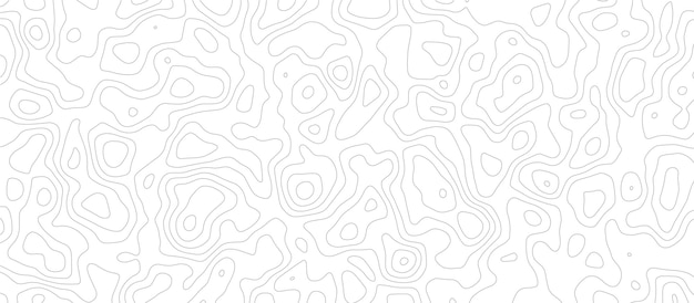 Topographic map background concept, Monochrome abstract white topographic