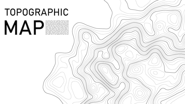 Vector topographic map background geographic line map with elevation assignments contour background geographic grid