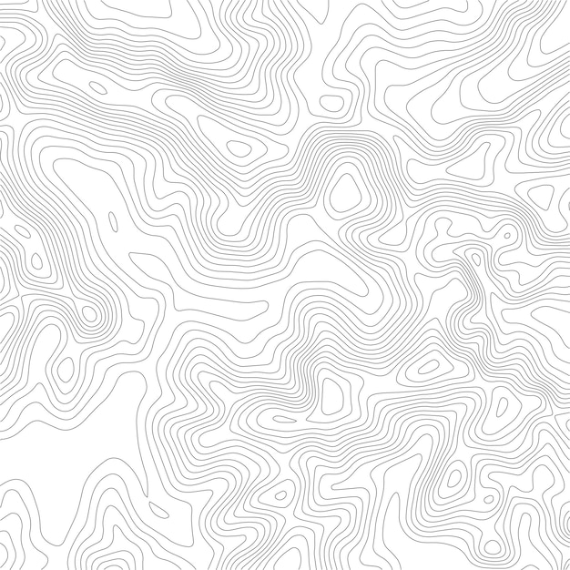 Vector topographic map background grid map contour vector illustration