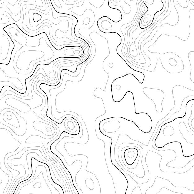 Vector topographic map background grid map contour vector illustration