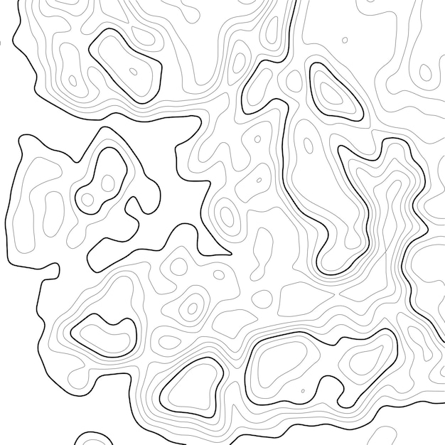 Vector topographic map background grid map contour vector illustration