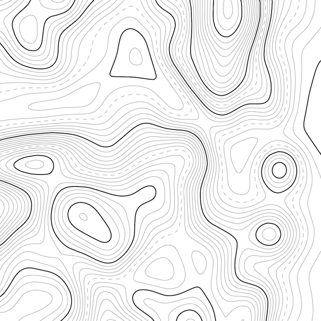 Topographic map background Grid map Vector illustration