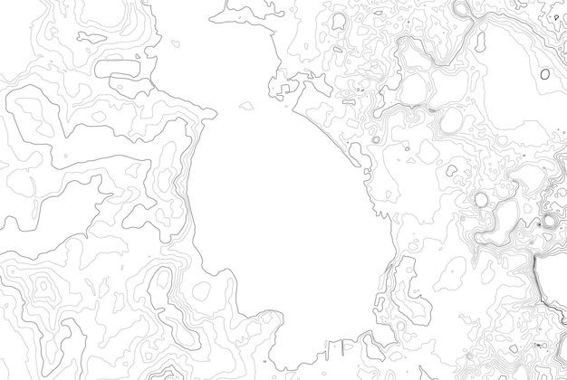 Vector topographic map contour background topo map with elevation contour map vector geographic world topog