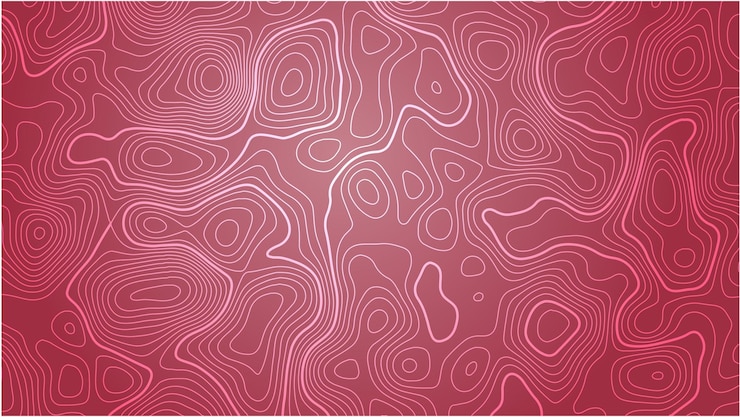 Vector topographic map contour lines background vector