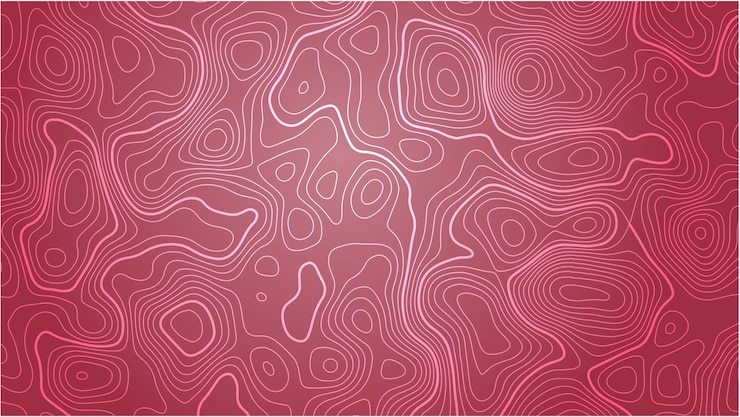 Vector topographic map contour lines background vector