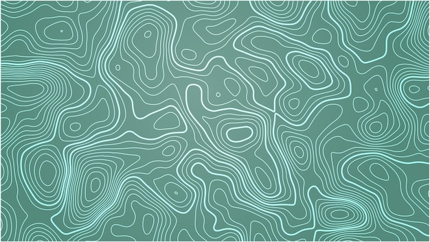 Vector topographic map contour lines background vector