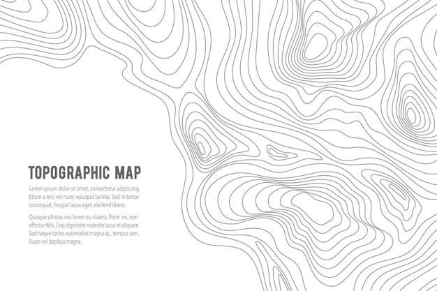 Vector topographic map grid texture relief contour