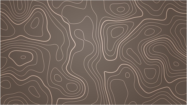 Topographic map lines contour background