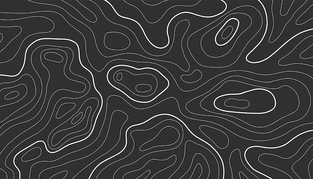 Topographic map lines topology outline contour vector wavy abstract relief