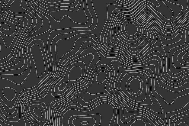 Vector topographic map texture