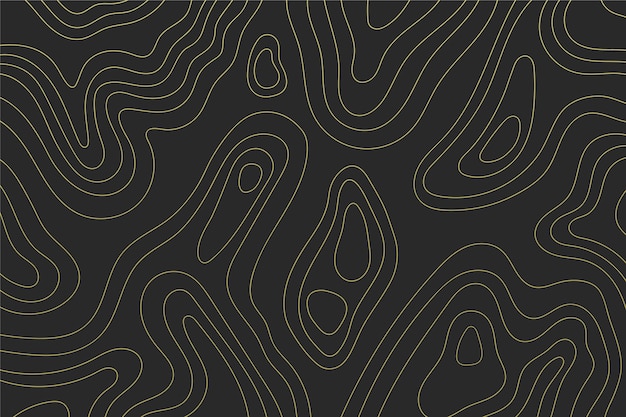 Vector topographic map theme