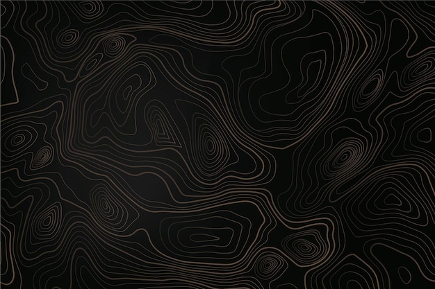 Vector topographic map wallpaper