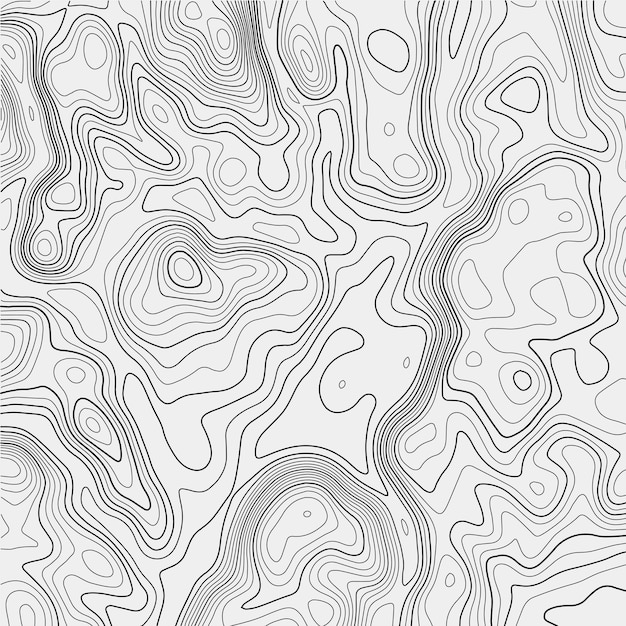 Topographic map on white background Vector grid map