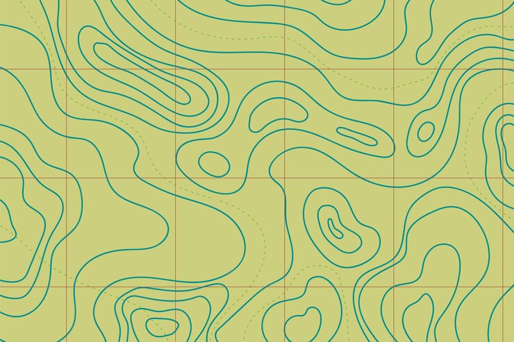 Vector topographic map with mountain relief contur abstract wavy lines top view land